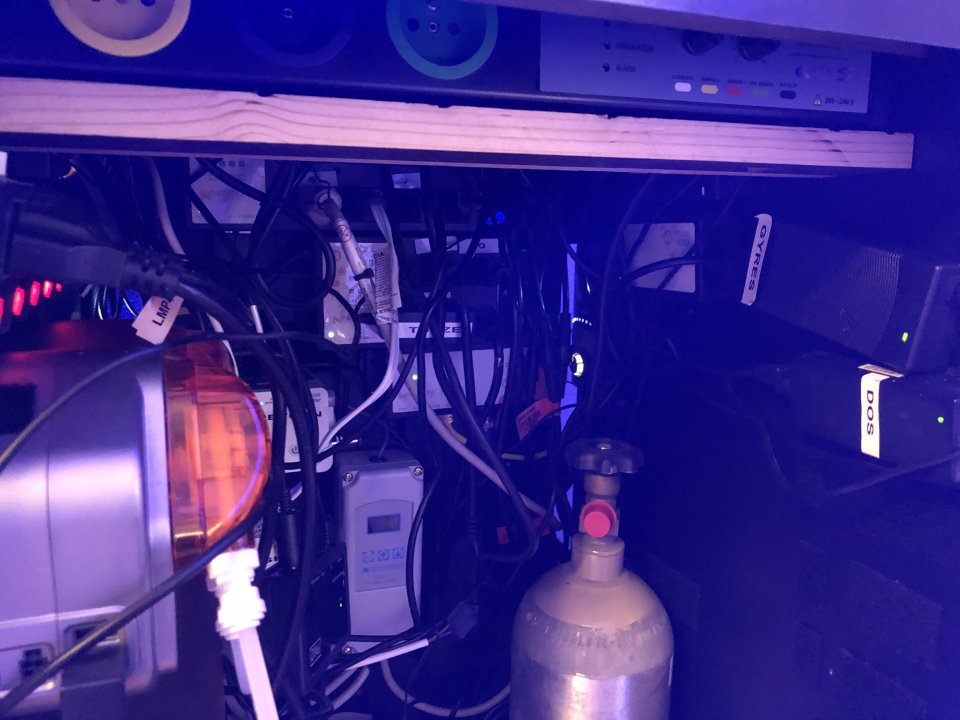FEFCCBEC-53DD-4505-8ACB-4421AEC101ED.jpeg