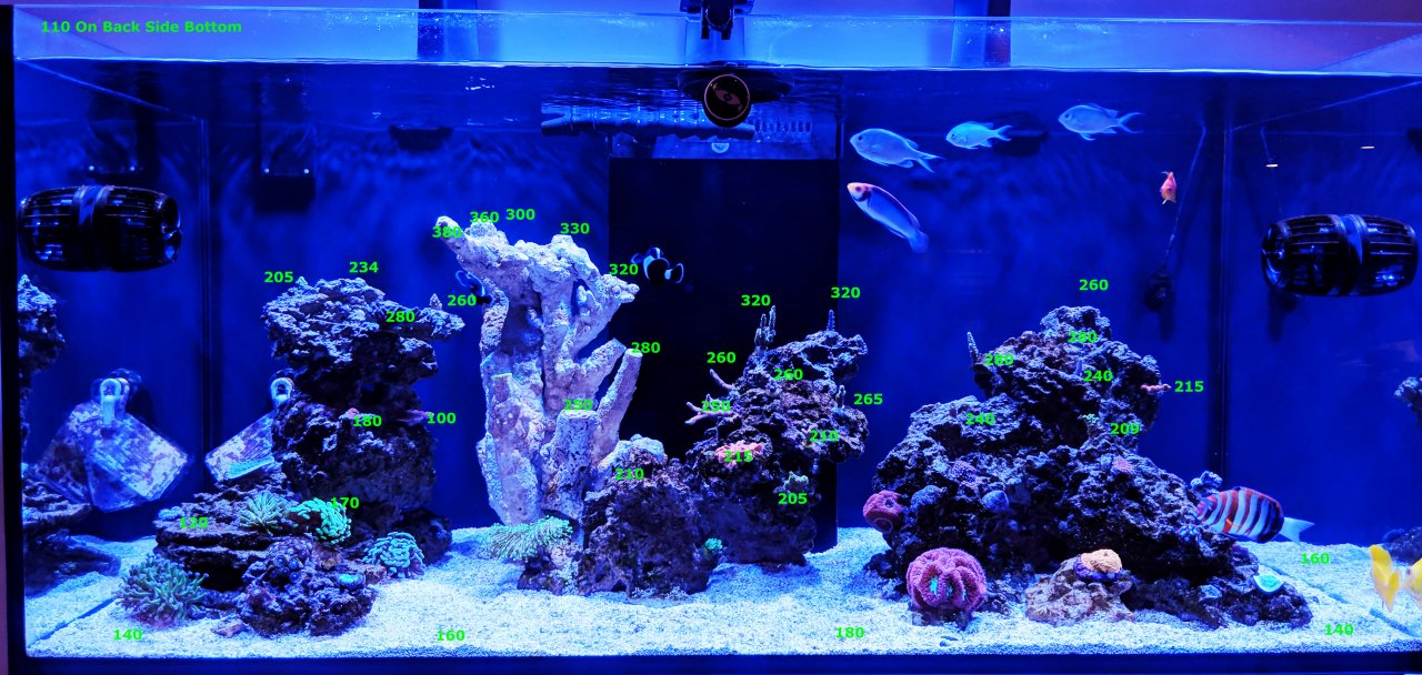 fish408_PAR.jpg