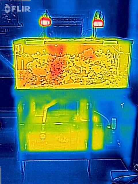 flir-dt.jpg