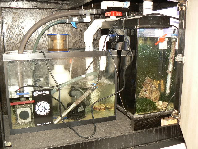 Frag Tank Fuge2.jpg