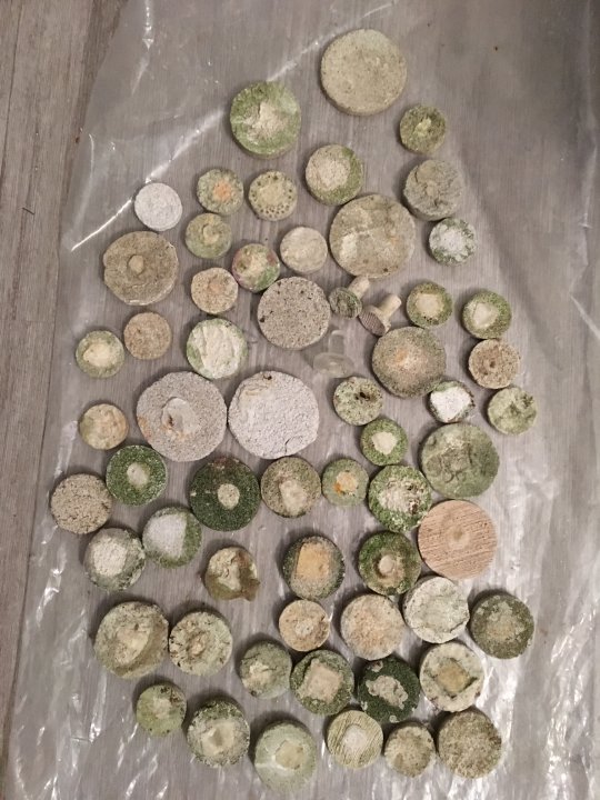 FragDisks.JPG