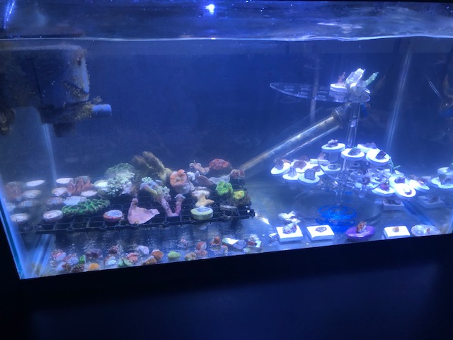 fragorama-Day1.jpg