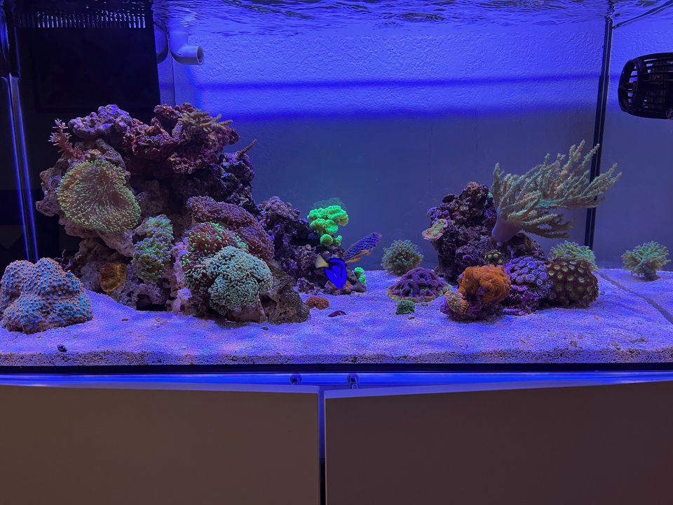 fts 03.2023.jpg