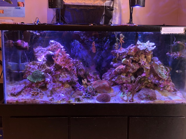 FTS-April.jpg