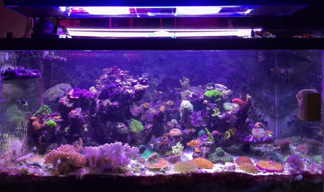 fts.jpg