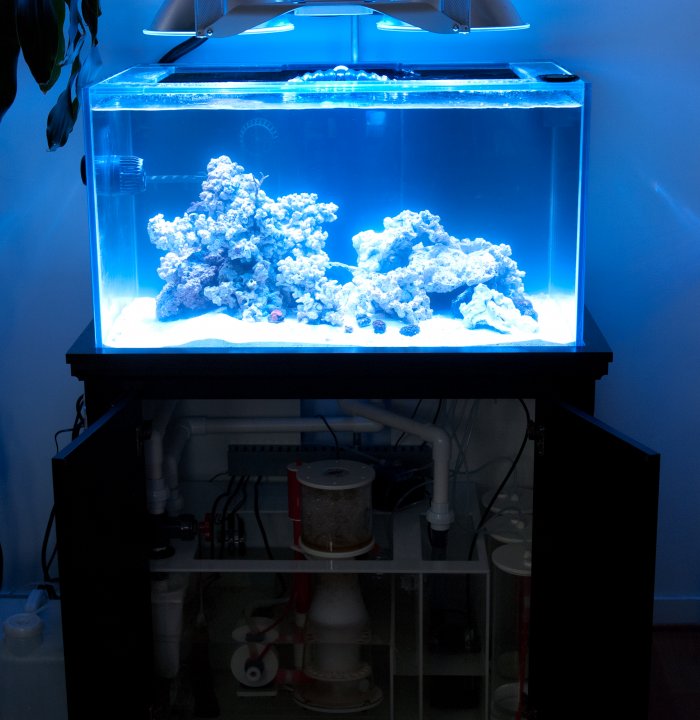 FTS.jpg