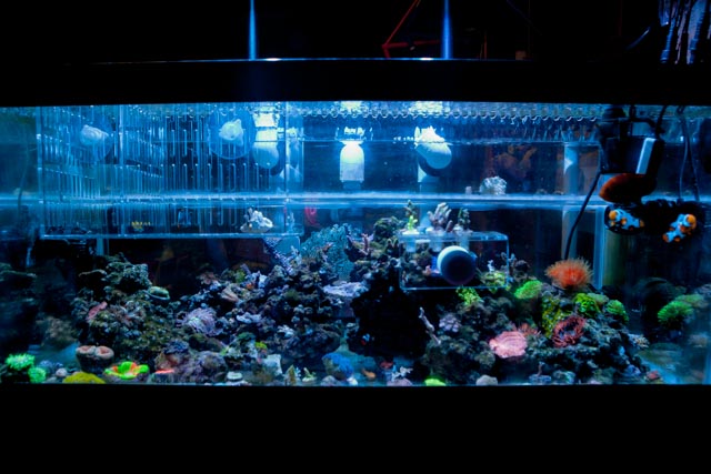 FTS.jpg