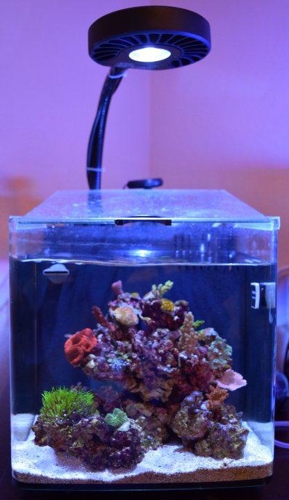 fts.JPG
