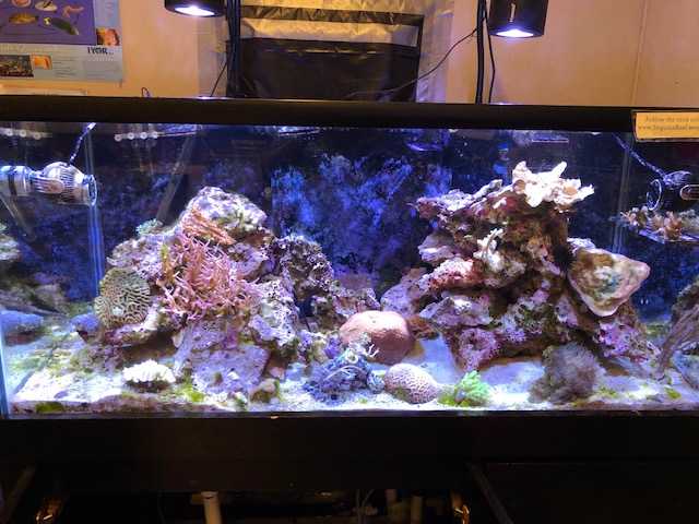 FTS-June.jpg