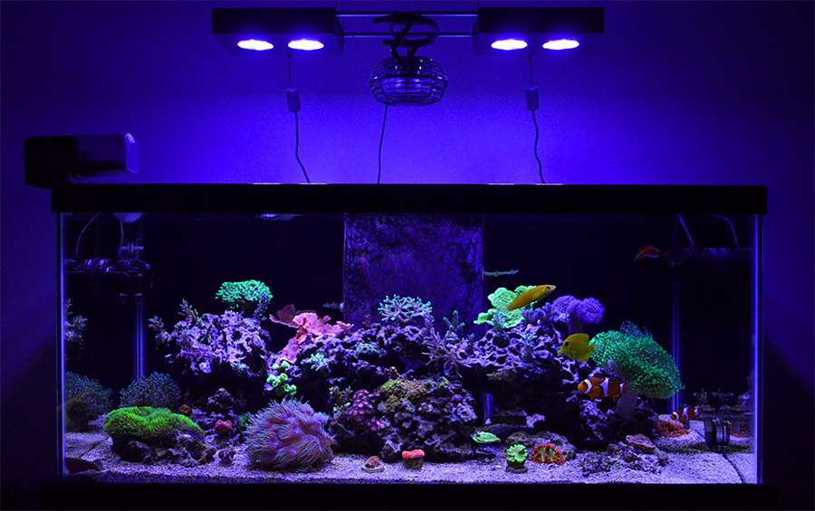 FTS.png