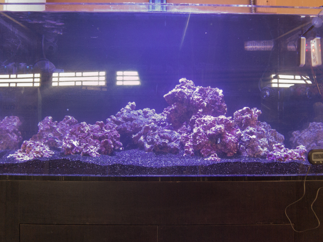 FTS060615.jpg