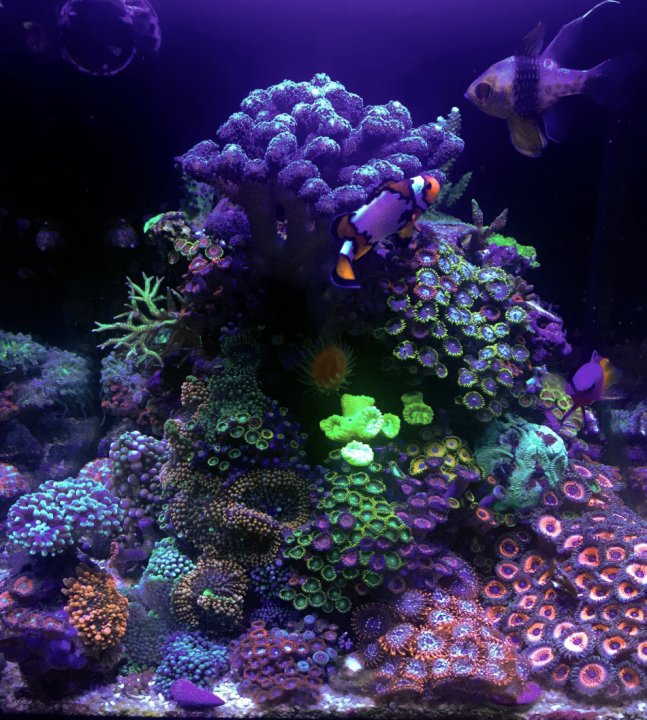fts2-8-17-18.jpg