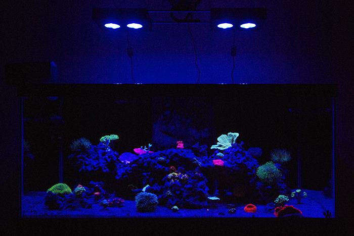 FTS_02.jpg