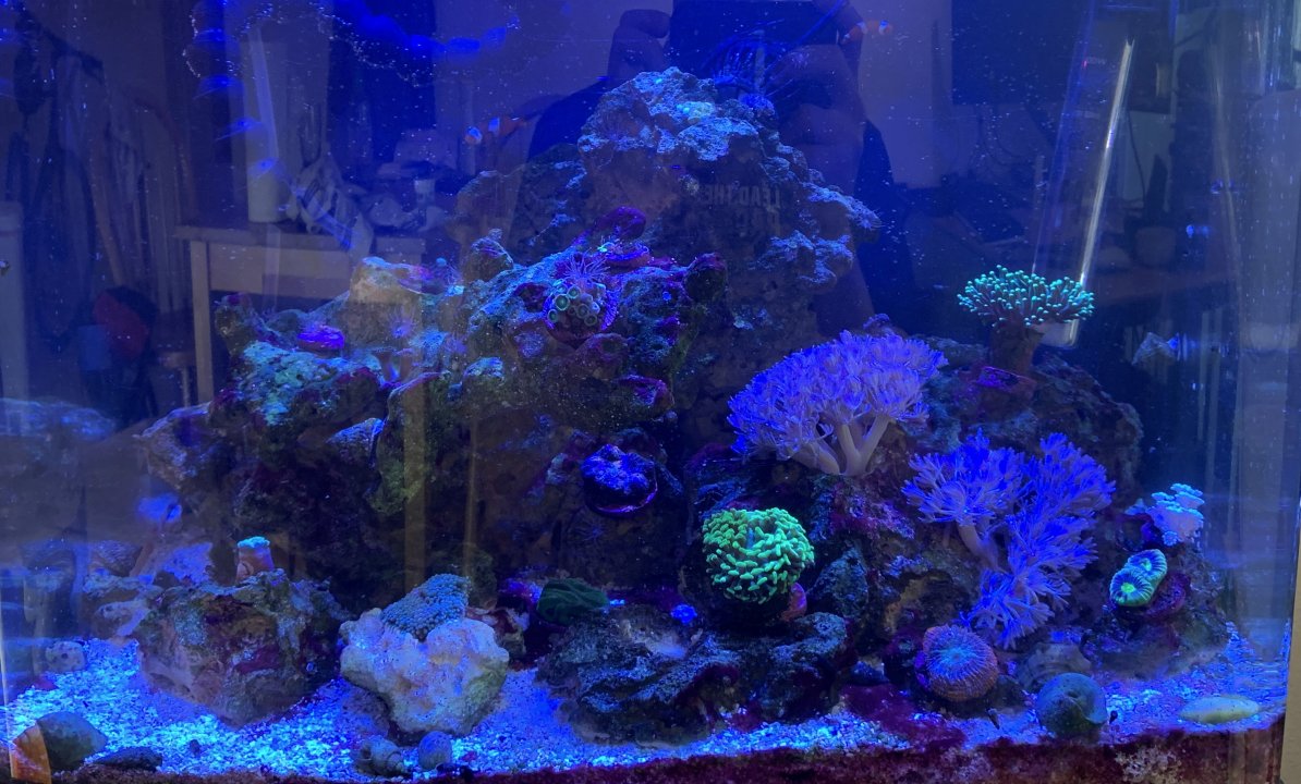 fts_4_6_21.jpeg