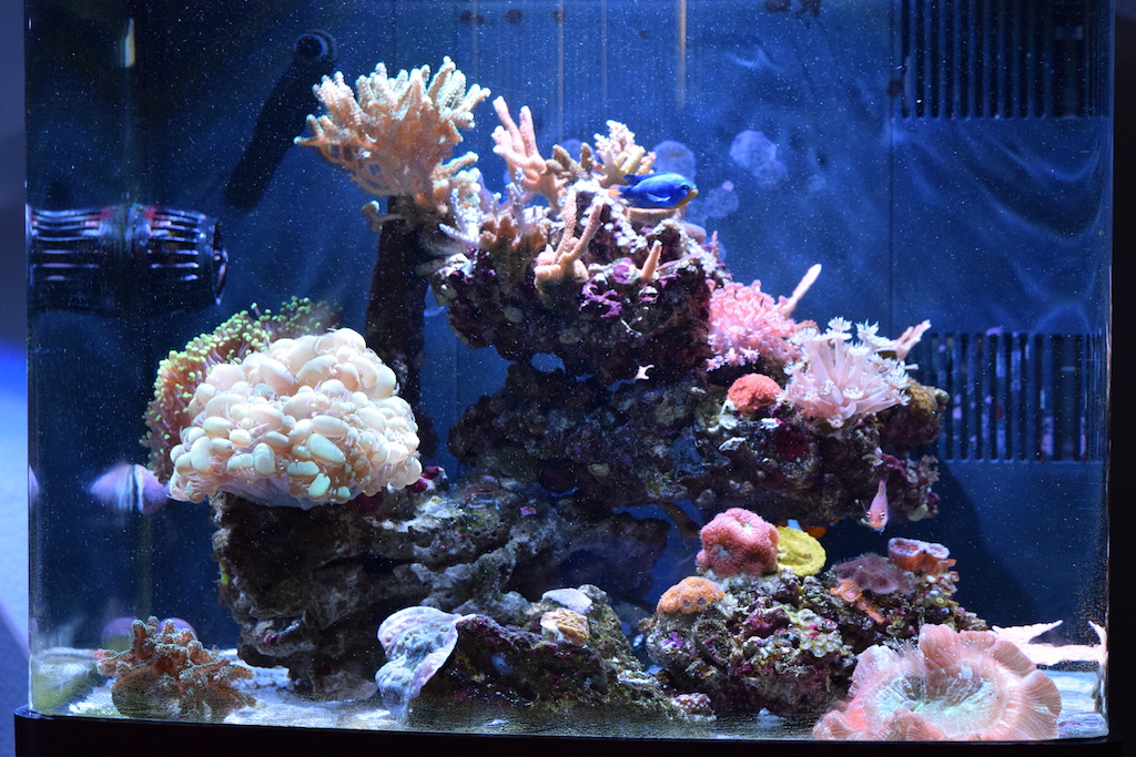 fts_bc29.jpg