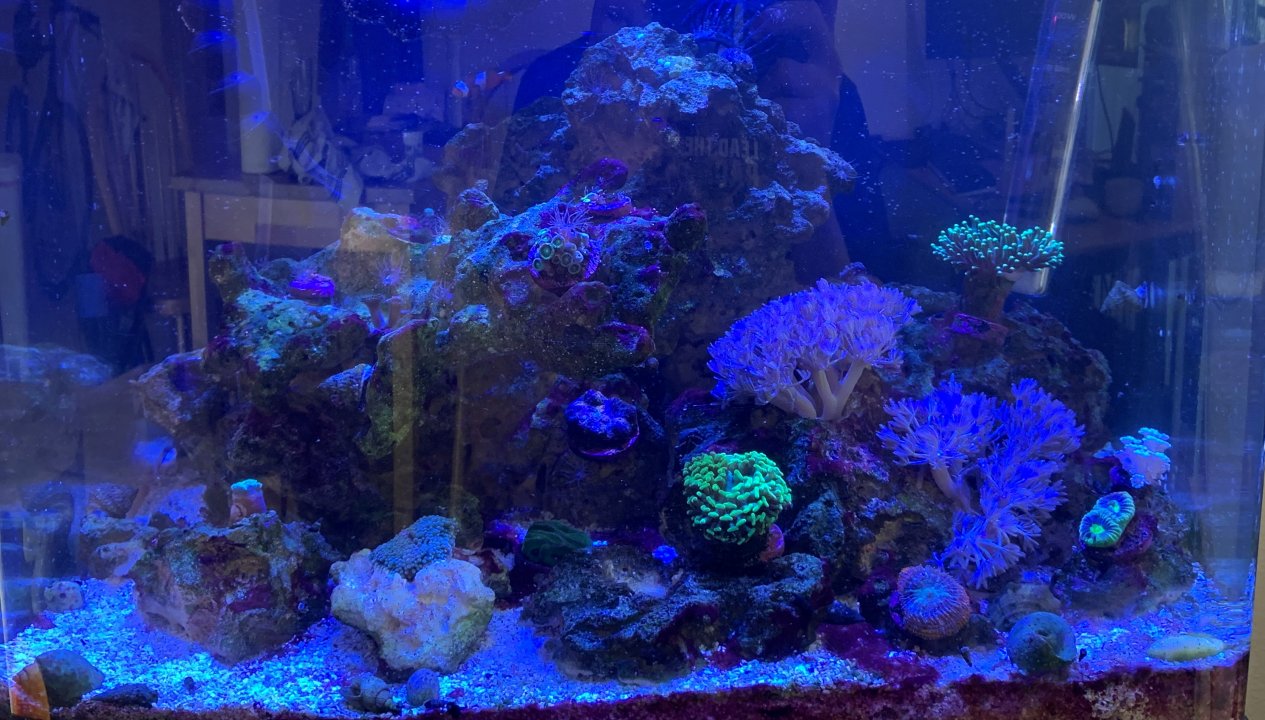 fts_nem.jpeg