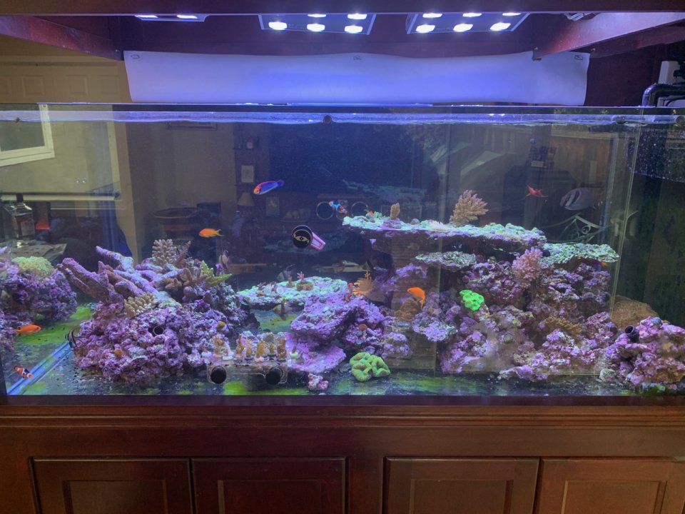 full tank 2.jpg