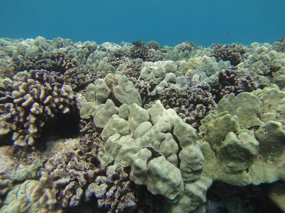 GOPR0283.JPG