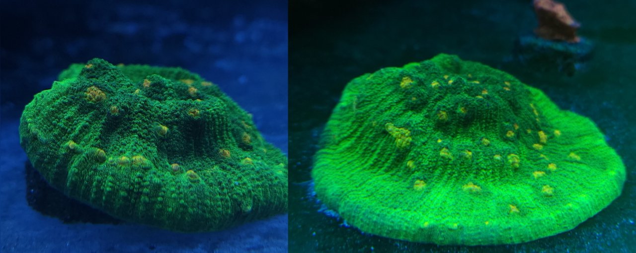 GridArt_20230504_201346770~2.jpg