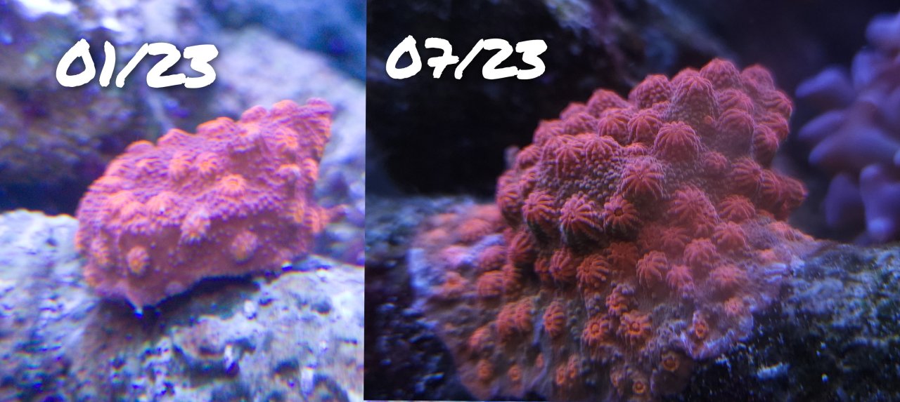 GridArt_20230725_142126731~2.jpg
