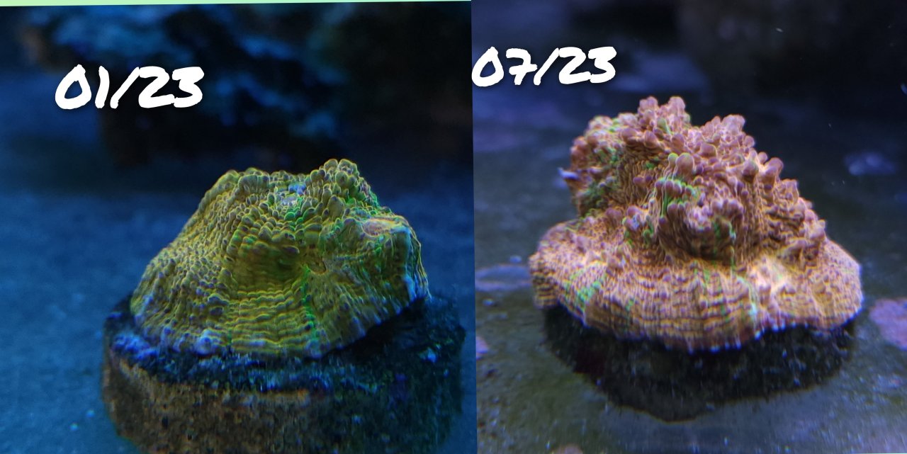 GridArt_20230725_143103234~2.jpg