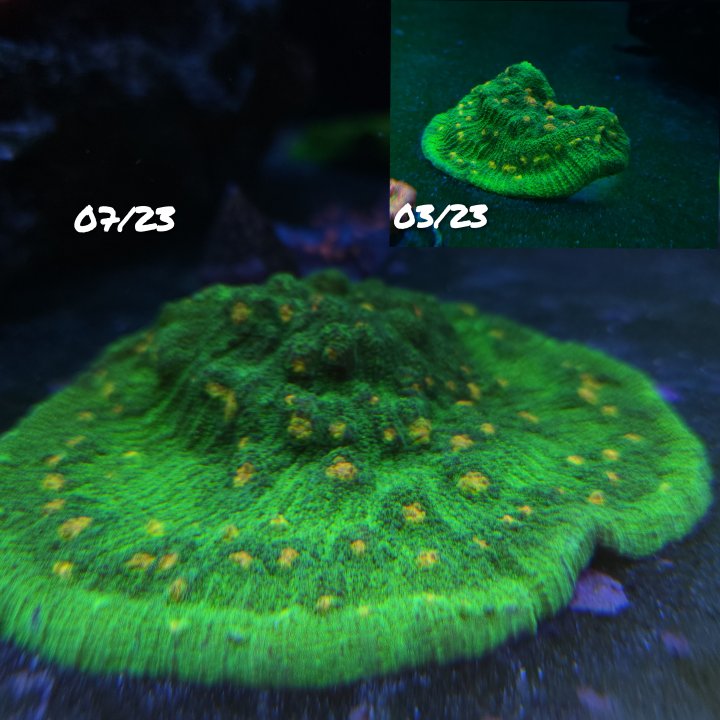 GridArt_20230725_144509873.jpg