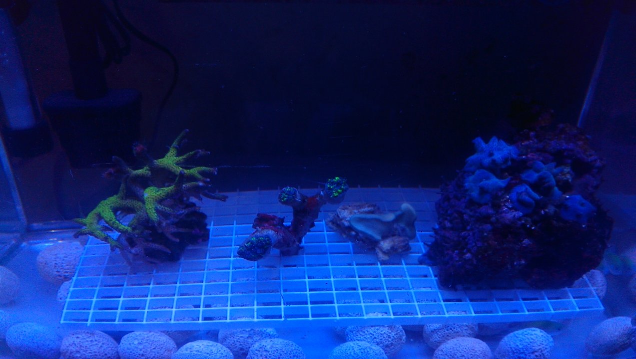 IMAG0228.jpg