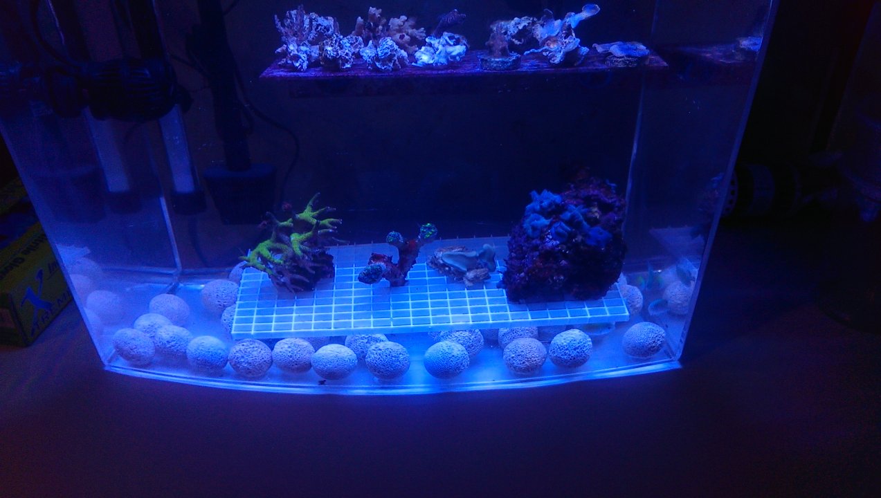IMAG0229.jpg