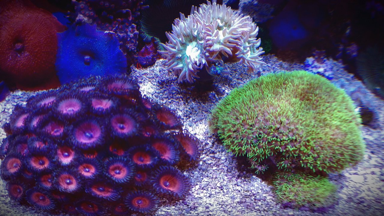 IMAG0293_1.jpg