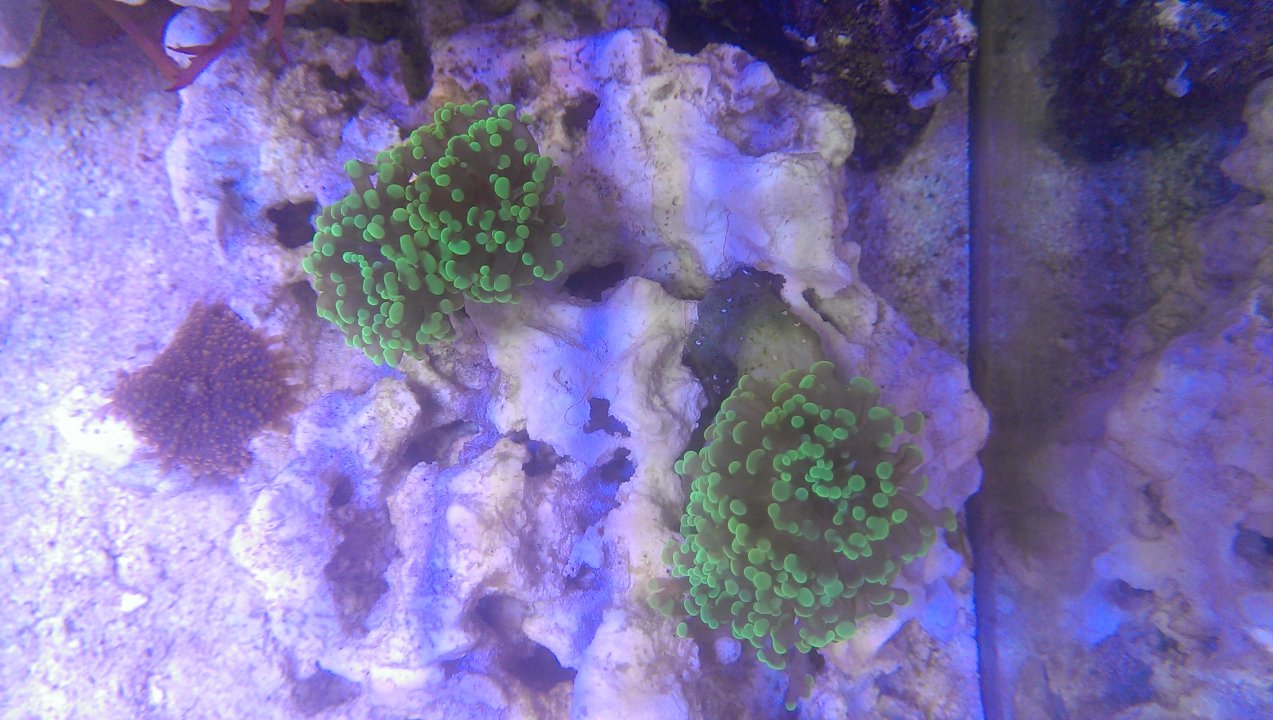 IMAG0392.jpg