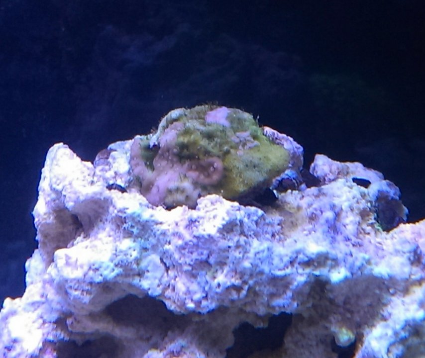 IMAG0504_1.jpg