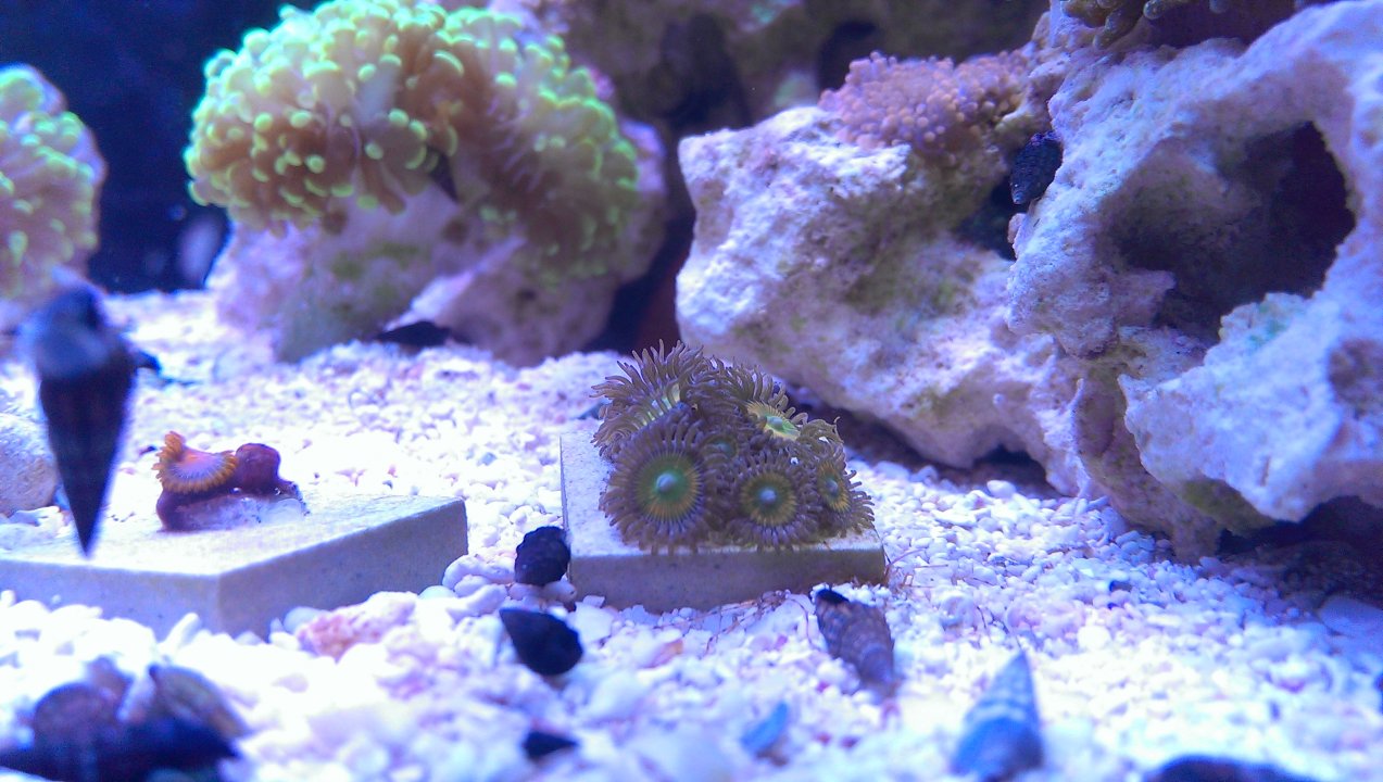 IMAG0559.jpg