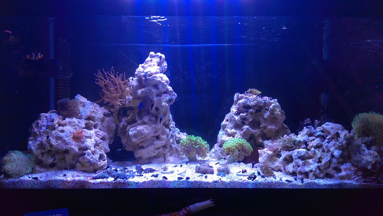 IMAG0565.jpg
