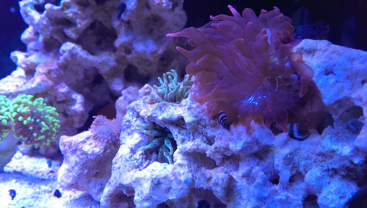 IMAG0605.jpg