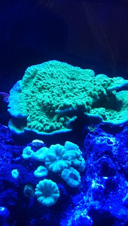 IMAG2279.jpg