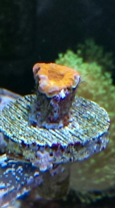 IMAG4481_1.jpg
