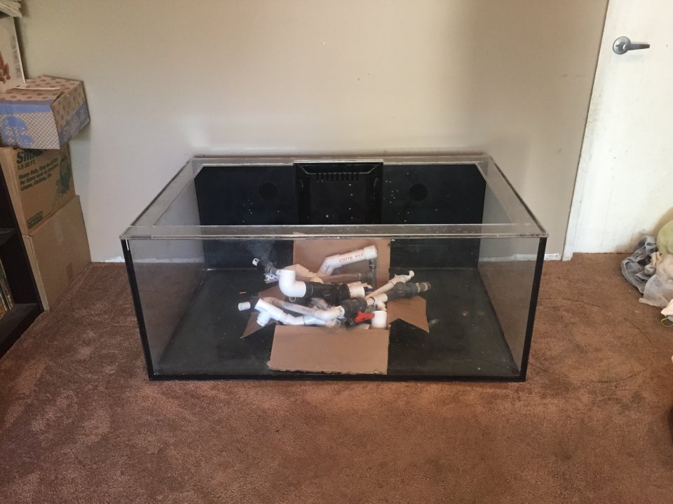 image.jpeg