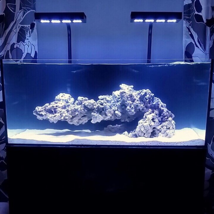 Aquascape Reef