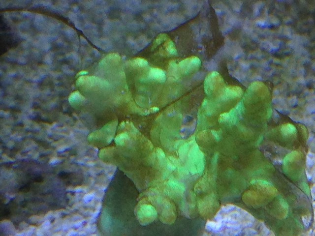 Image00003.jpg