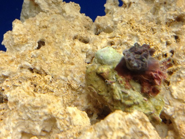 Image00011.jpg