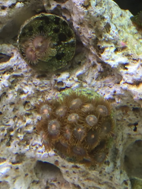 Image1459146036.469372.jpg