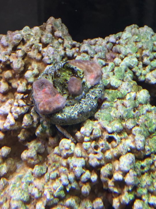Image1459146053.717603.jpg