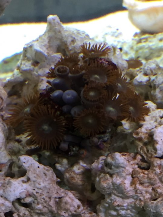 Image1459146184.615604.jpg