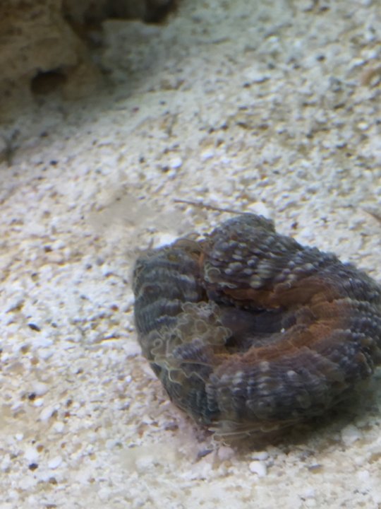 Image1459146262.591604.jpg
