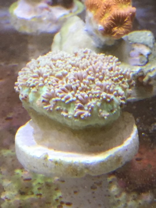 Image1462080731.355390.jpg