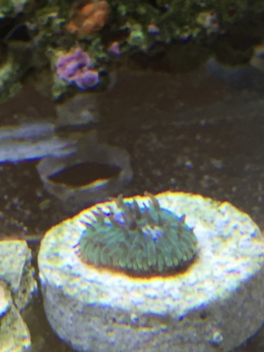 Image1462080753.158887.jpg