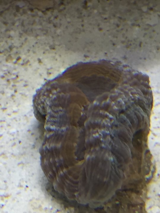 Image1462080779.716355.jpg