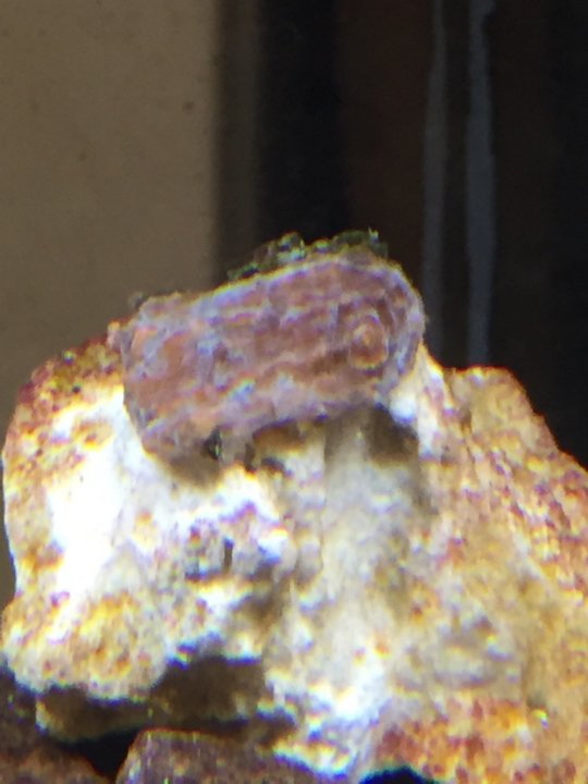 Image1462080798.292089.jpg