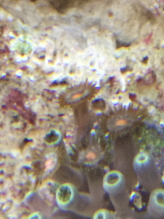 Image1462080807.694554.jpg