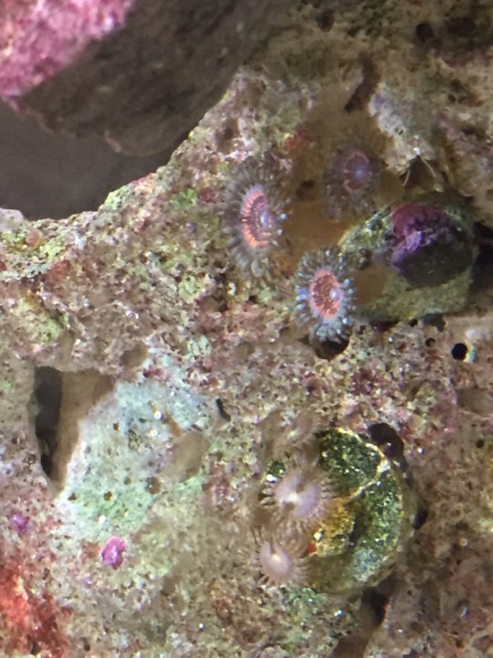 Image1462080816.735233.jpg
